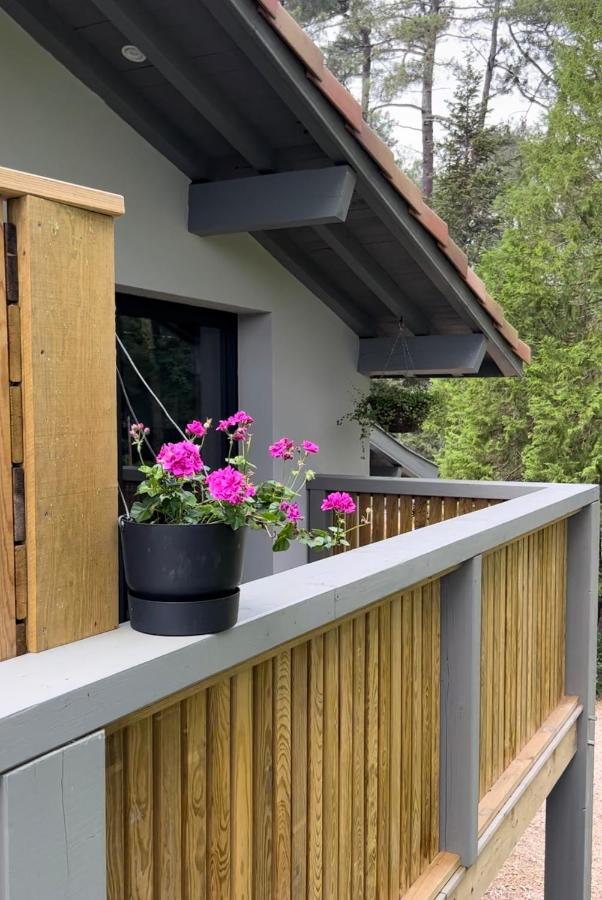 Laguillotte Bed & Breakfast Seignosse Luaran gambar